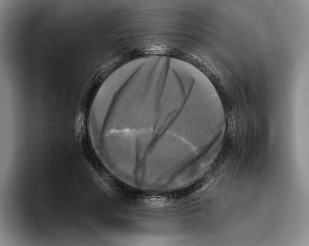 X0000096400598200802211205