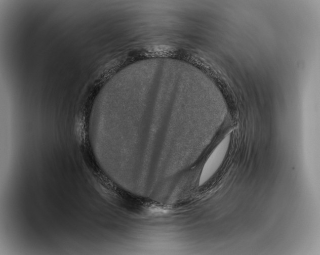 X0000096400599200802211205