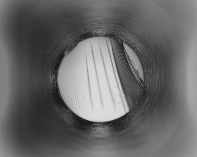 X0000096400601200802211205