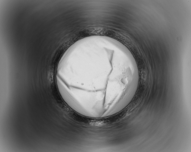 X0000096400602200802211205