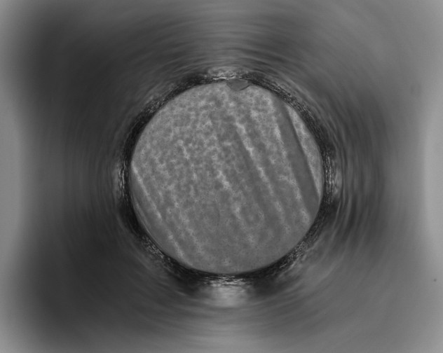 X0000096400603200802211205