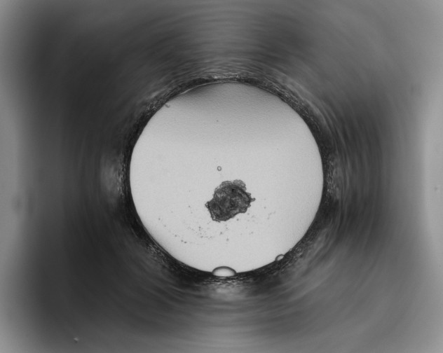 X0000096400604200802211205