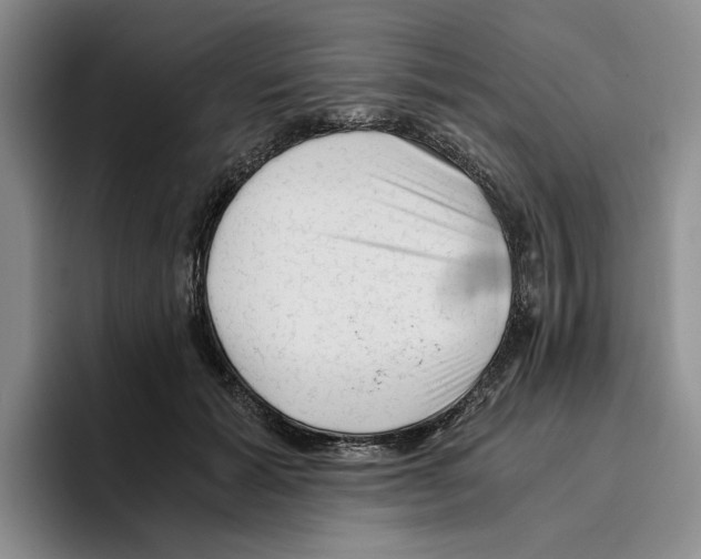 X0000096400605200802211205