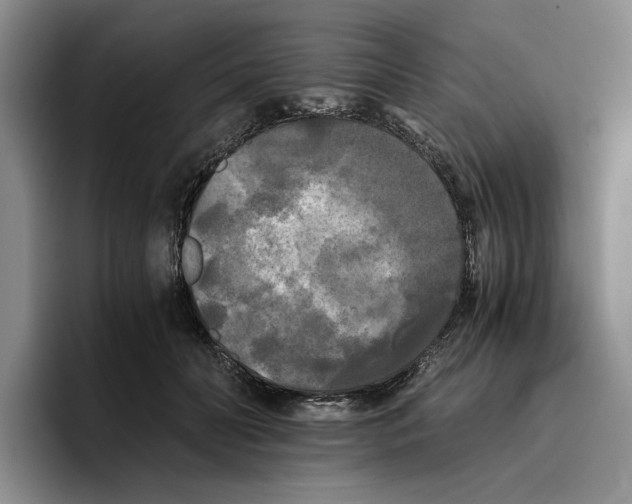 X0000096400606200802211205