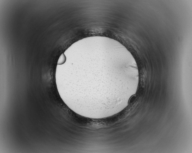 X0000096400608200802211205