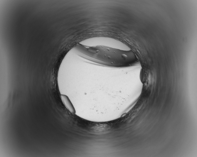 X0000096400609200802211205