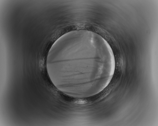 X0000096400610200802211205