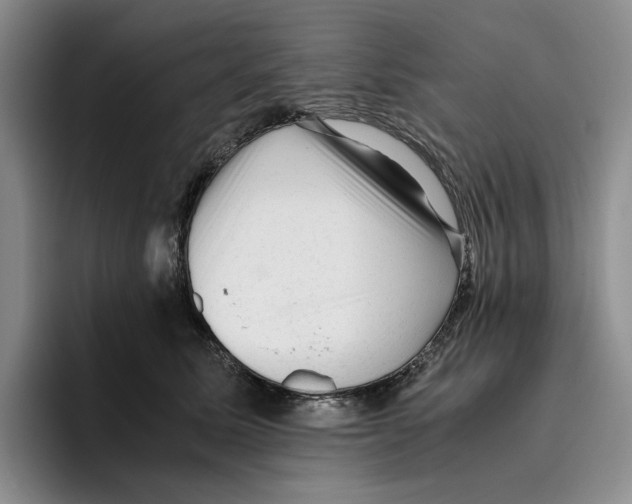 X0000096400611200802211205