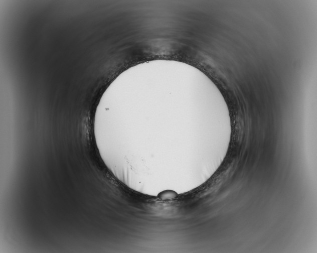 X0000096400612200802211205