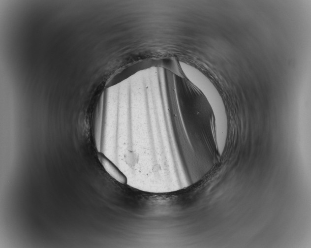 X0000096400613200802211205