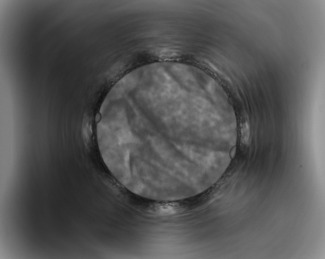 X0000096400618200802211205