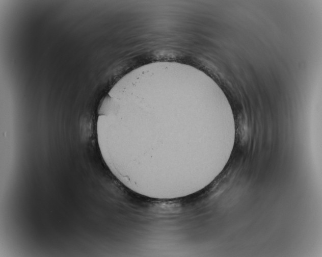 X0000096400619200802211205