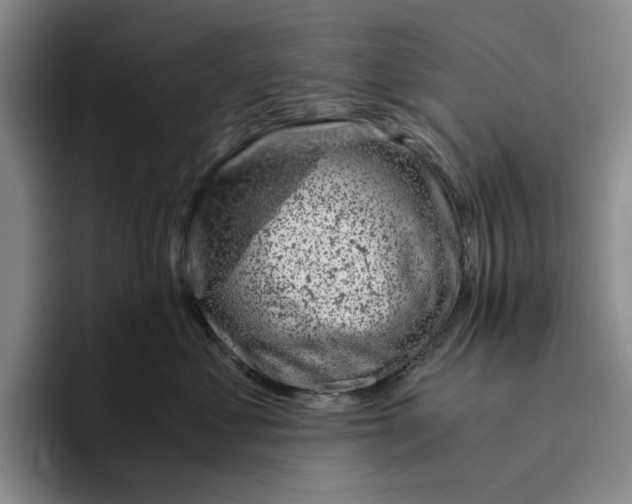 X0000096400621200802211205