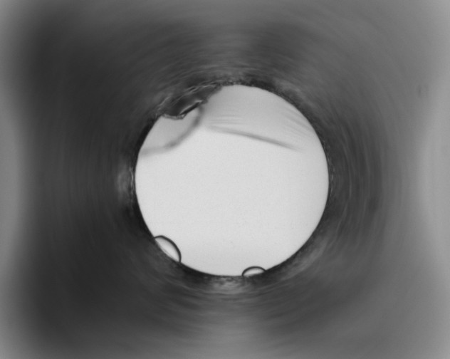 X0000096400624200802211205