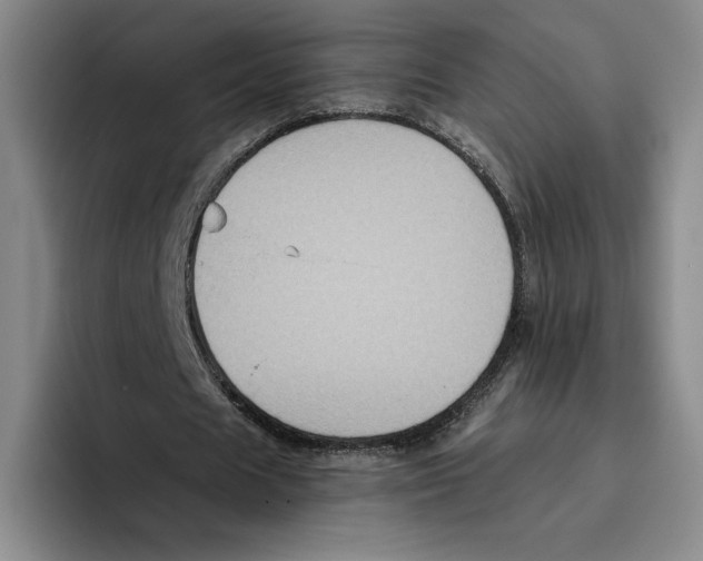 X0000096400625200802211204