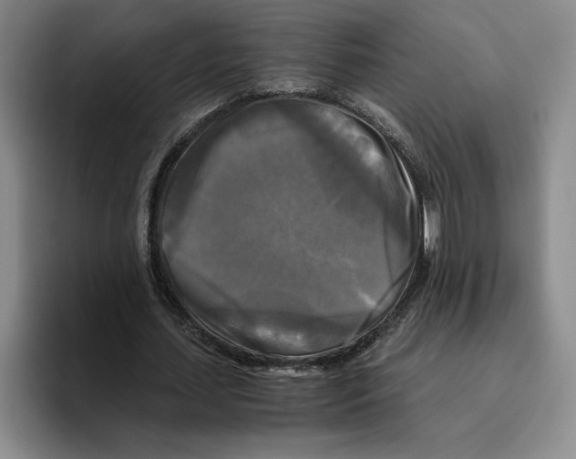 X0000096400627200802211204