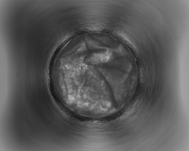 X0000096400634200802211204