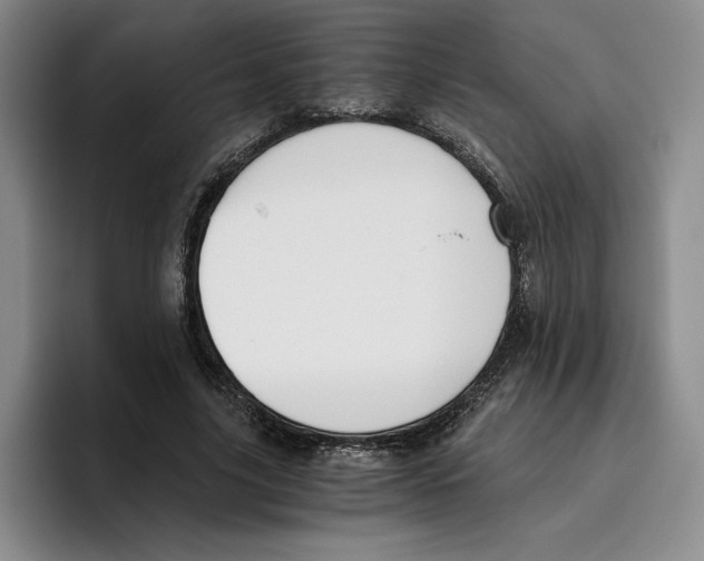 X0000096400635200802211204