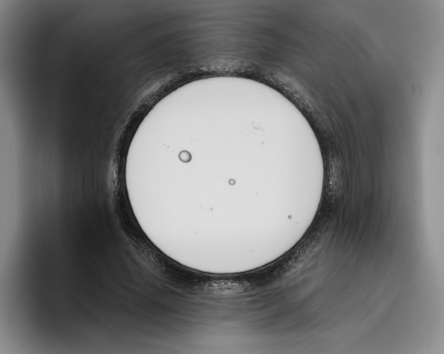 X0000096400636200802211204