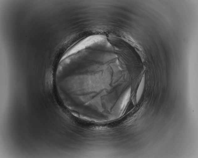 X0000096400637200802211204