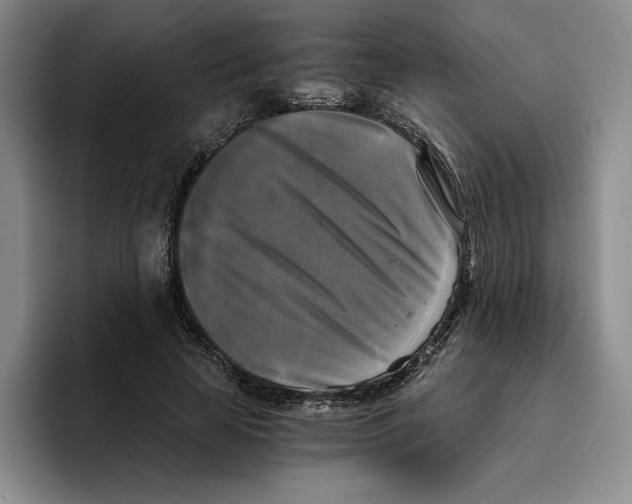 X0000096400641200802211204