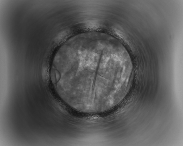 X0000096400642200802211204