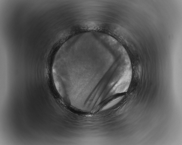 X0000096400643200802211204