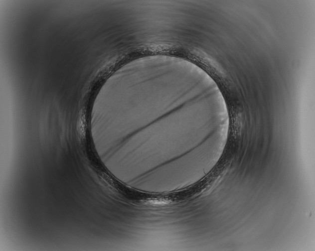 X0000096400644200802211204