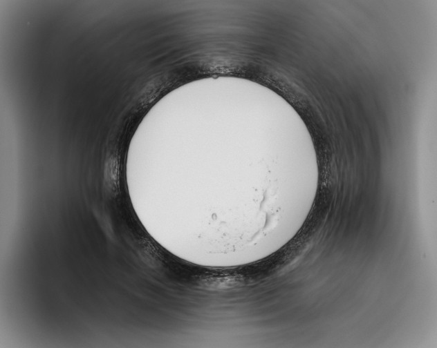 X0000096400646200802211204