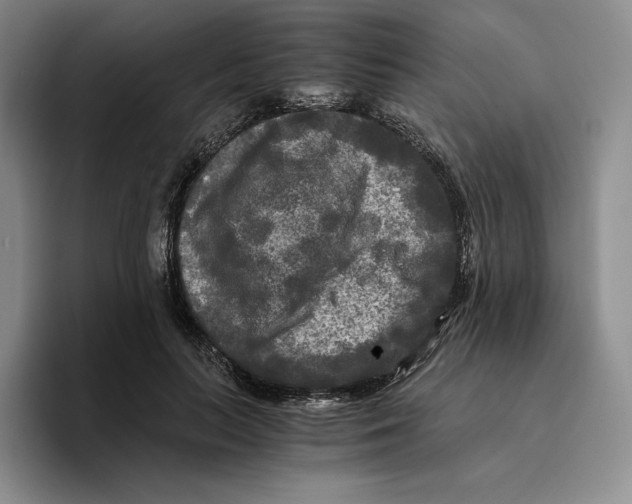 X0000096400647200802211204