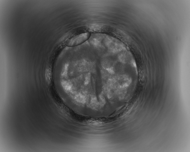 X0000096400648200802211204