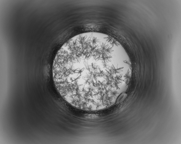 X0000096400649200802211204