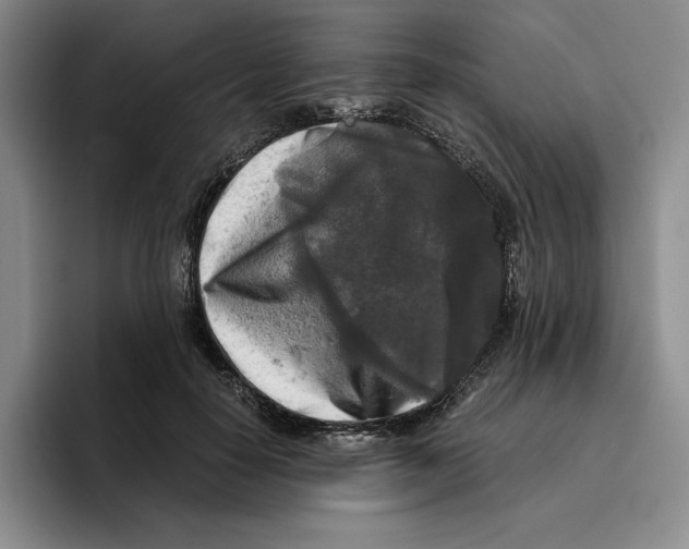 X0000096400650200802211204