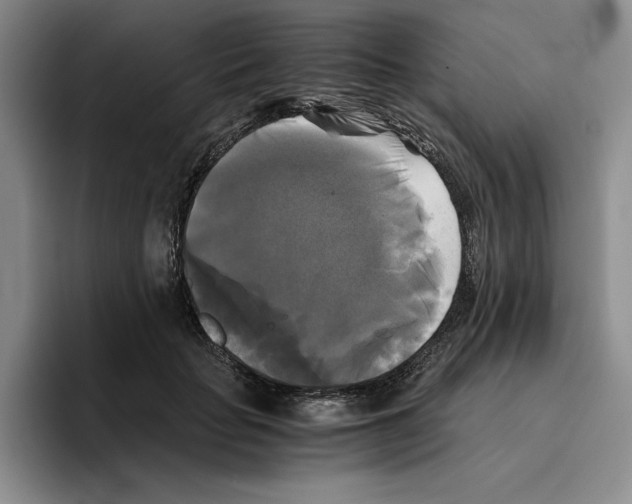 X0000096400653200802211204