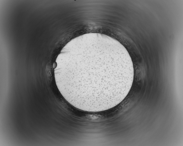 X0000096400654200802211204