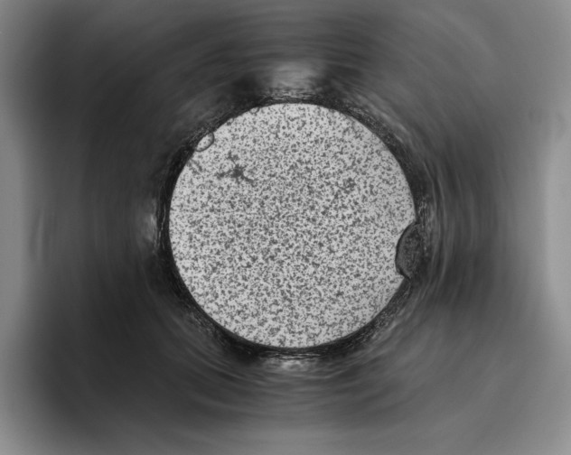 X0000096400655200802211204