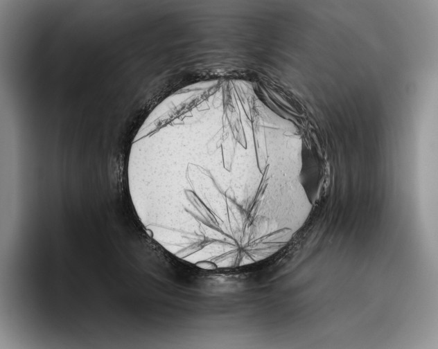 X0000096400657200802211204