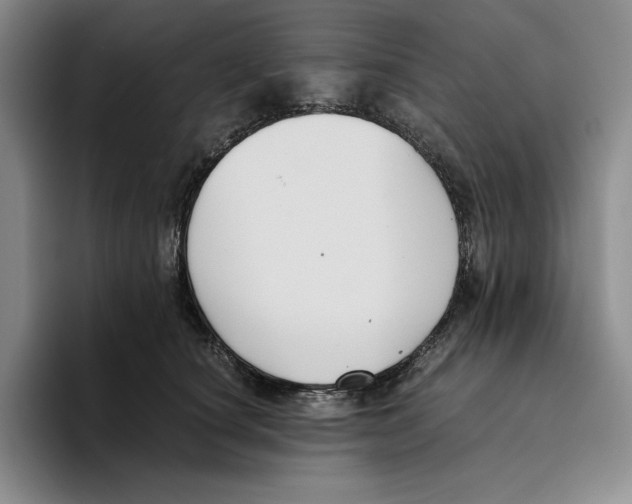 X0000096400660200802211205