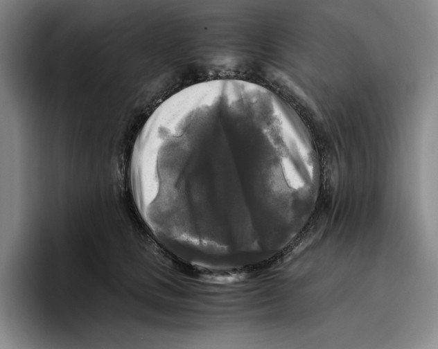 X0000096400661200802211205