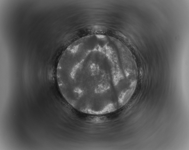 X0000096400663200802211205