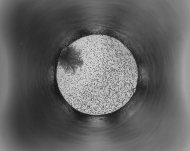 X0000096400664200802211205