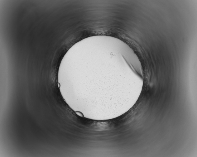 X0000096400665200802211205