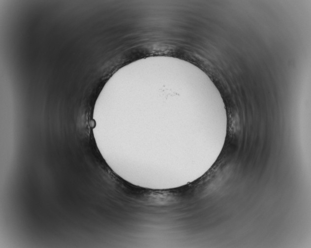 X0000096400666200802211205