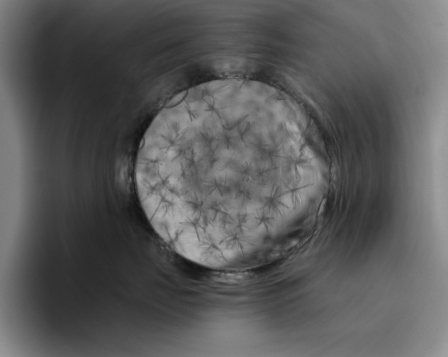 X0000096400671200802211205