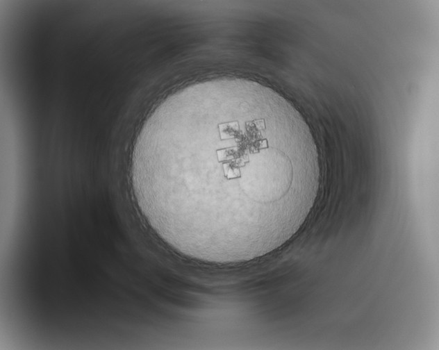 X0000096400672200802211205