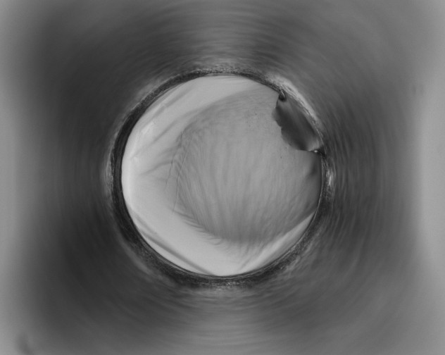 X0000096400674200802211204