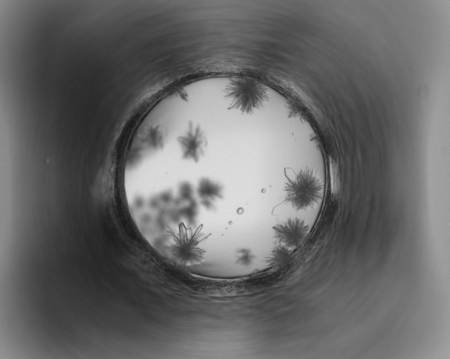 X0000096400675200802211204
