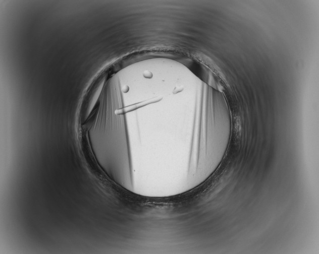 X0000096400676200802211204