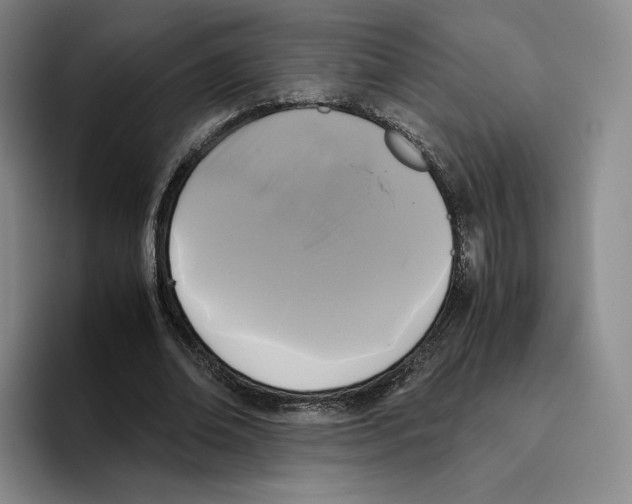 X0000096400678200802211204