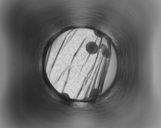 X0000096400681200802211204